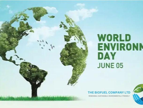 World Environment Day 2024 image