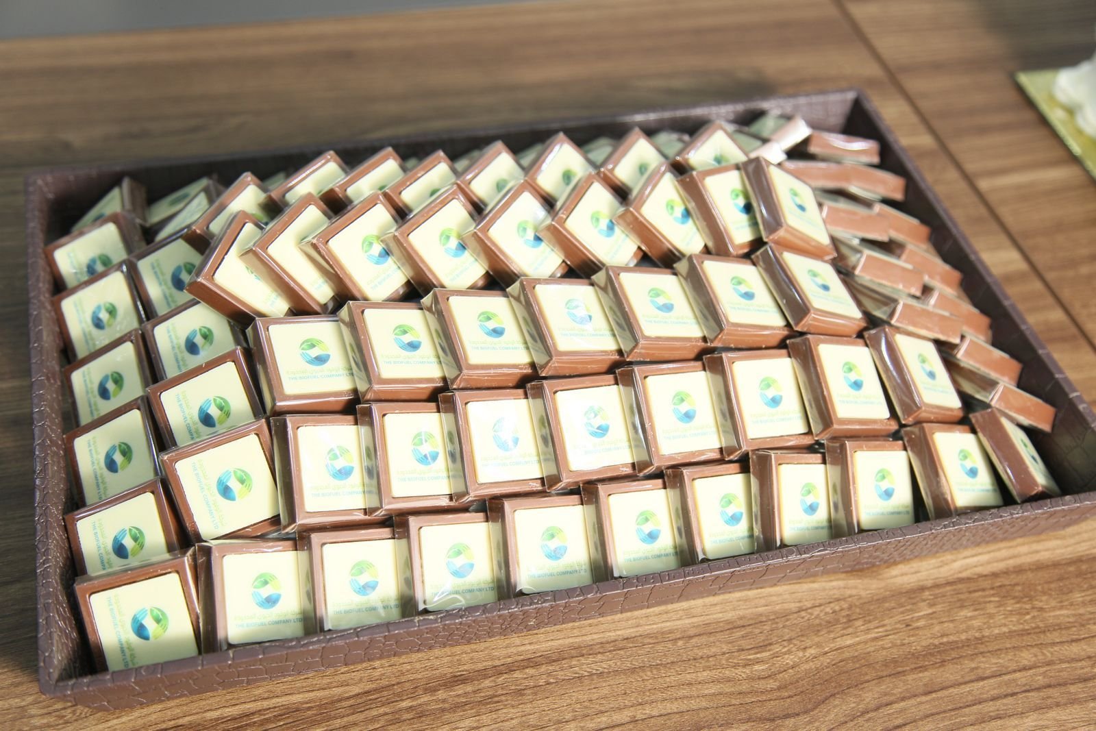 شركة الوقود الحيوي 2024