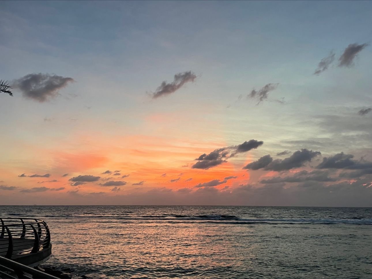 كروز السعودية