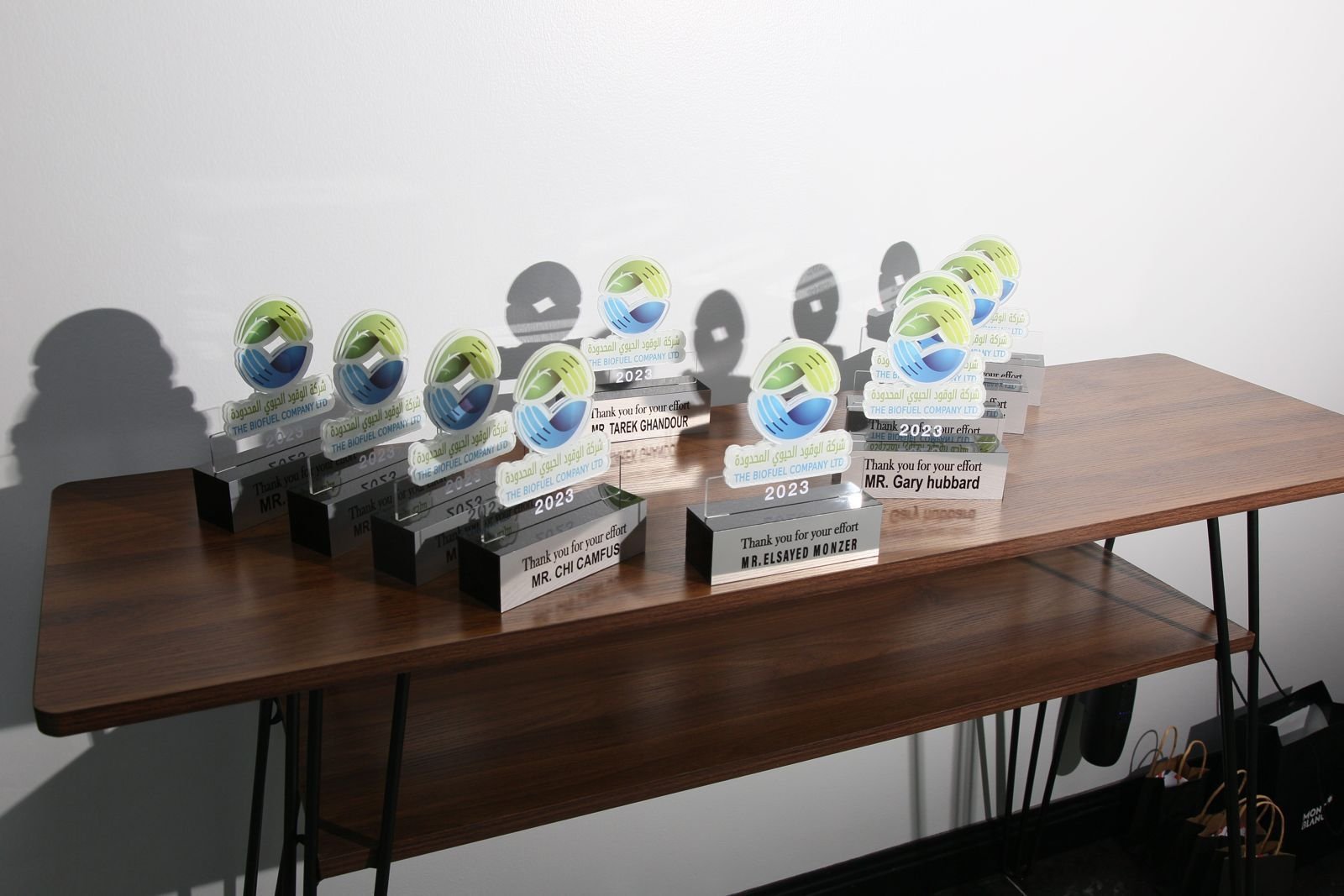 شركة الوقود الحيوي 2024